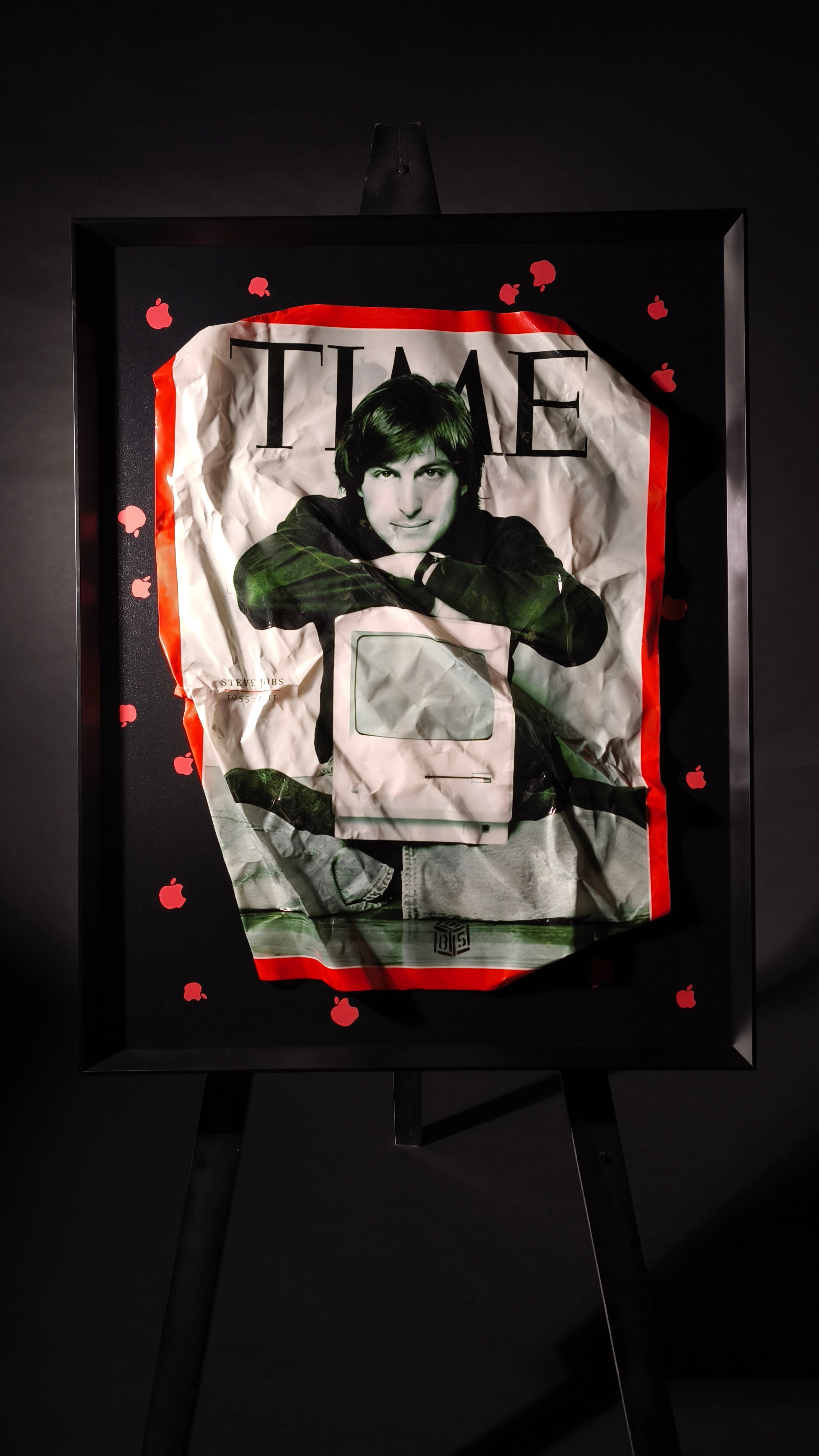 Quadro STEVE for TIME