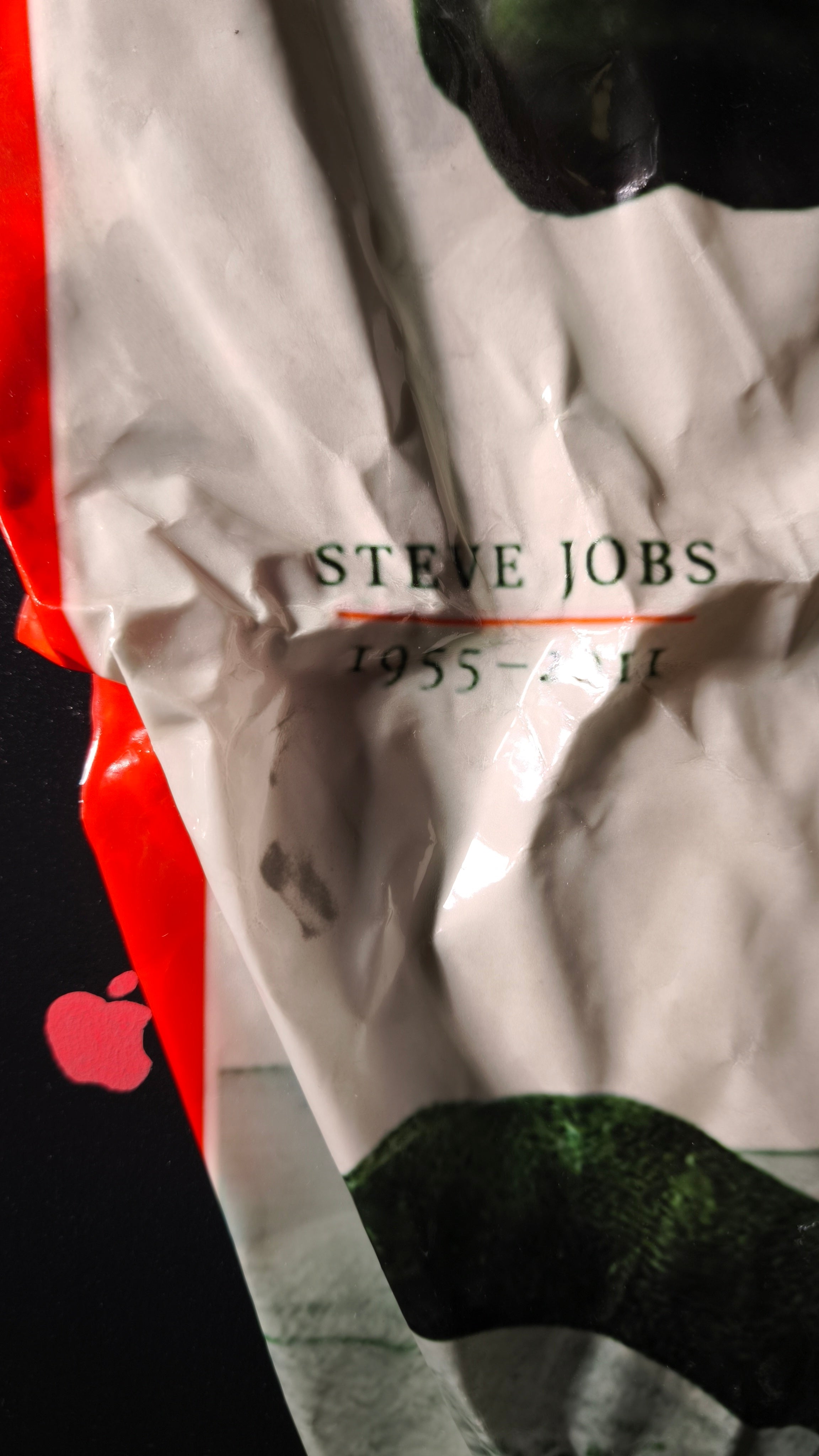 Quadro STEVE for TIME