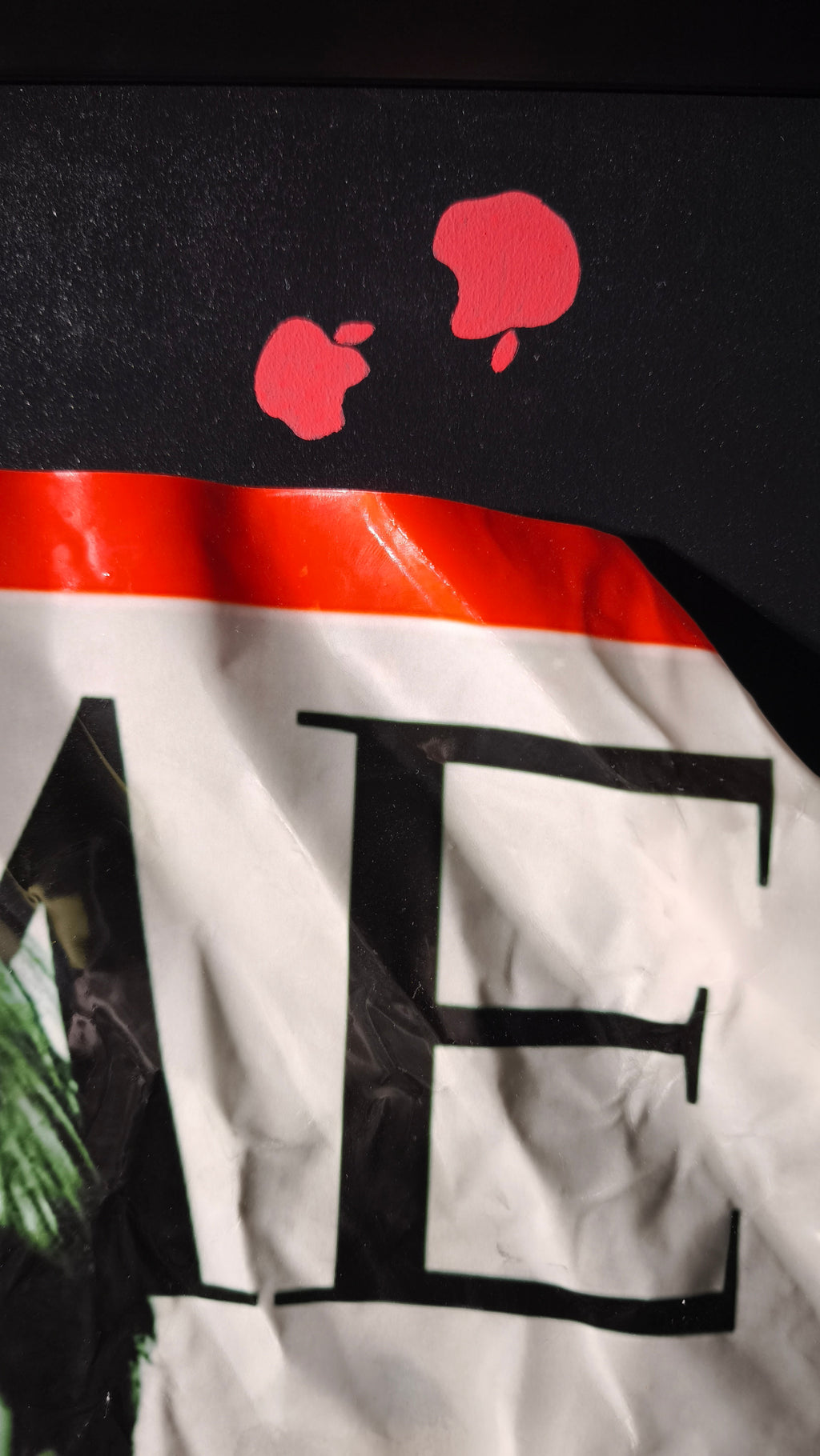 Quadro STEVE for TIME