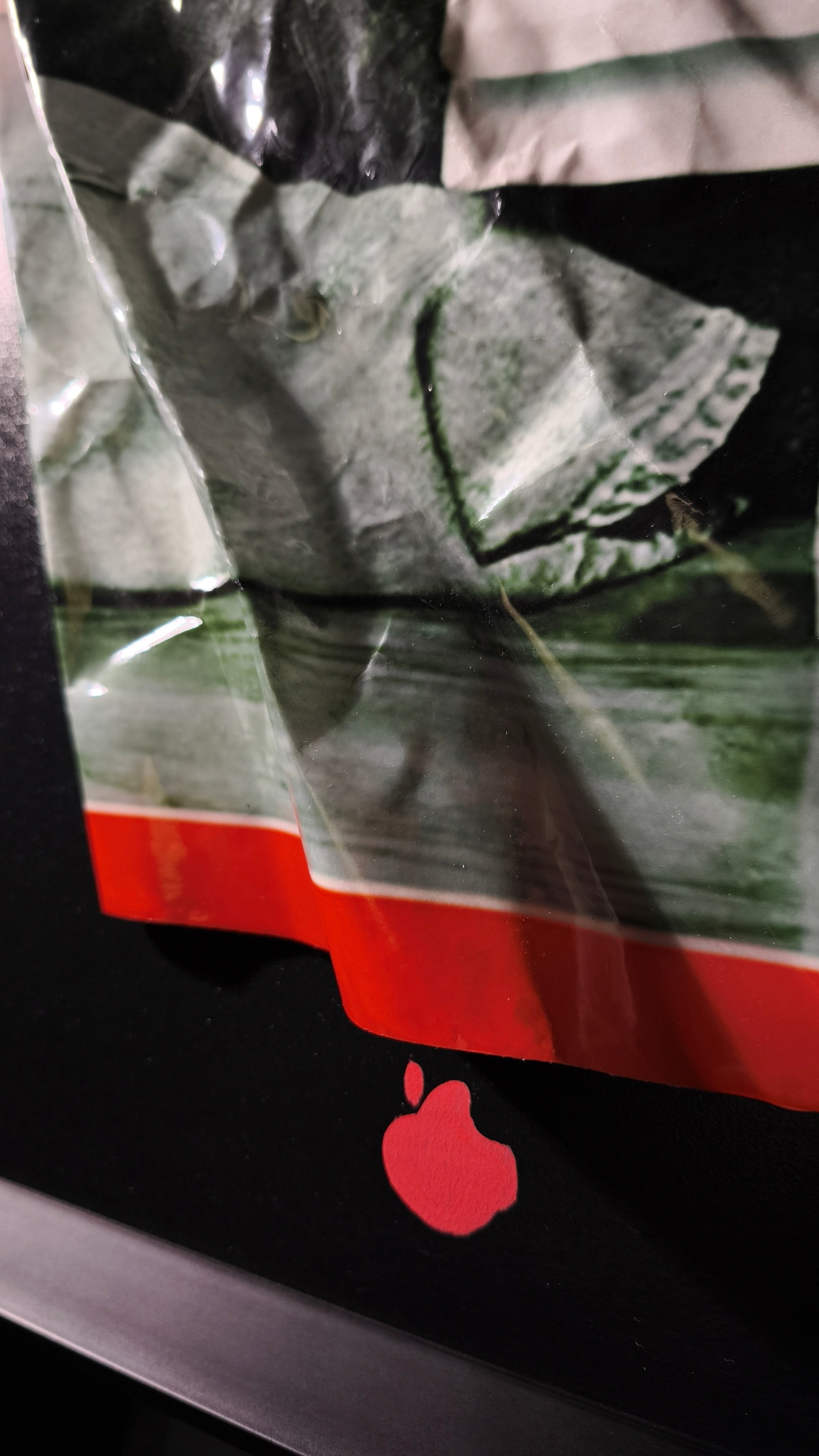 Quadro STEVE for TIME