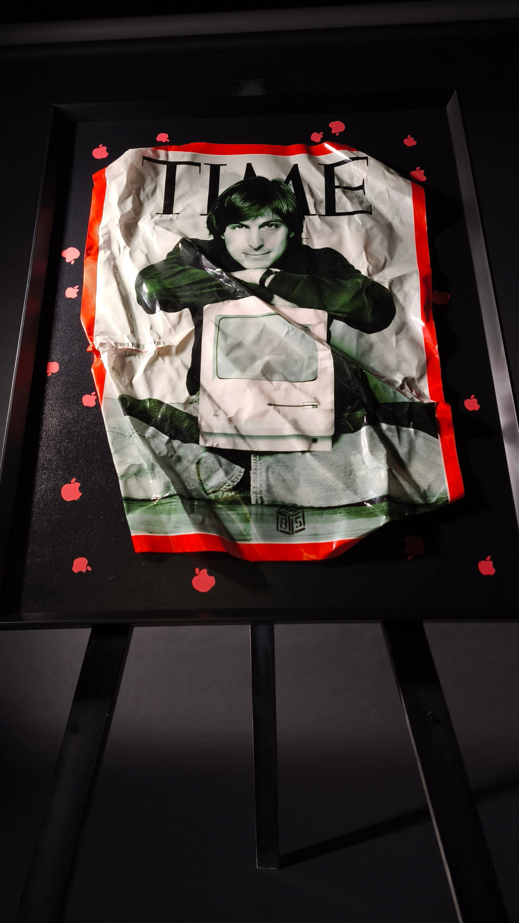 Quadro STEVE for TIME