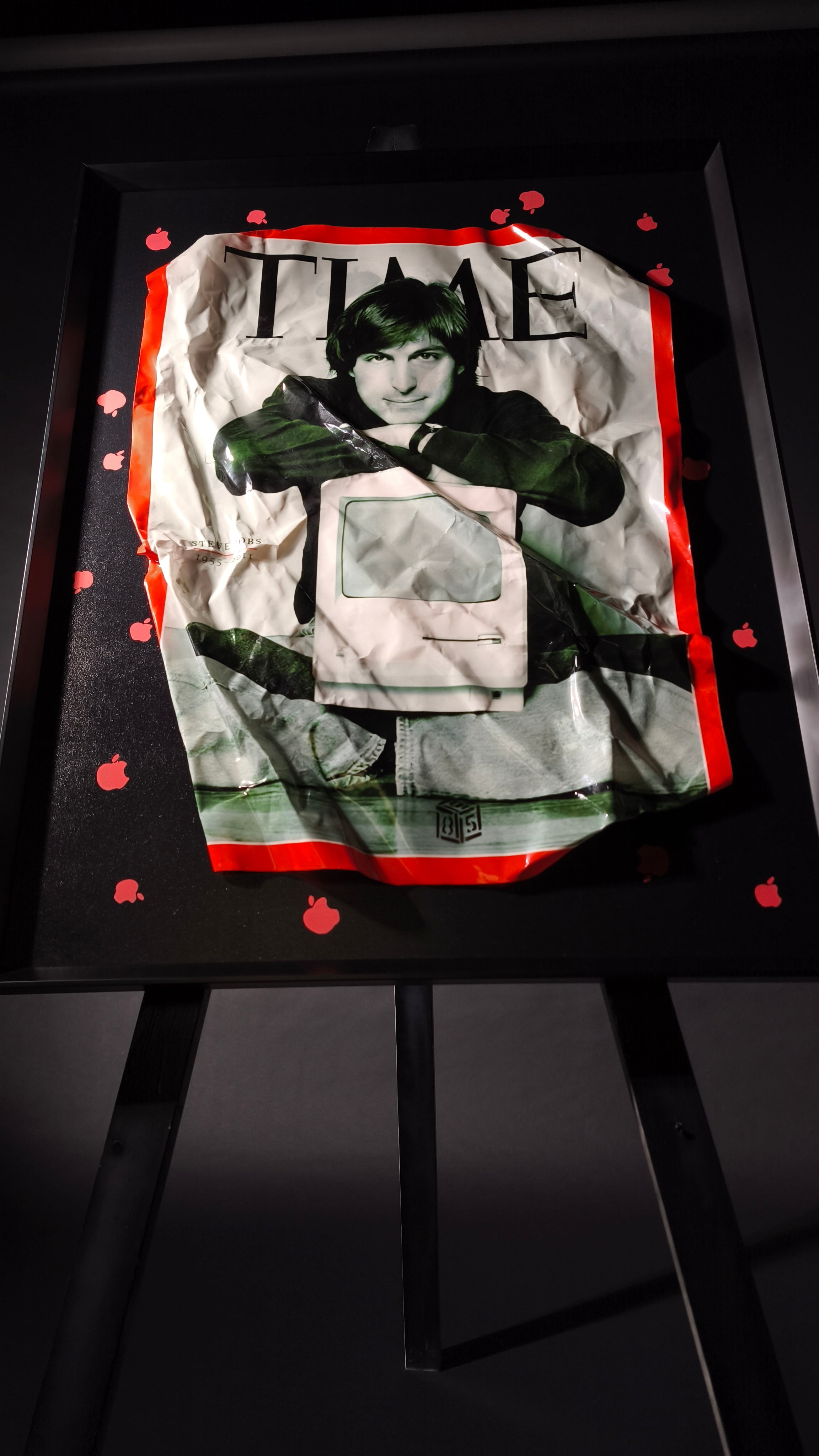 Quadro STEVE for TIME