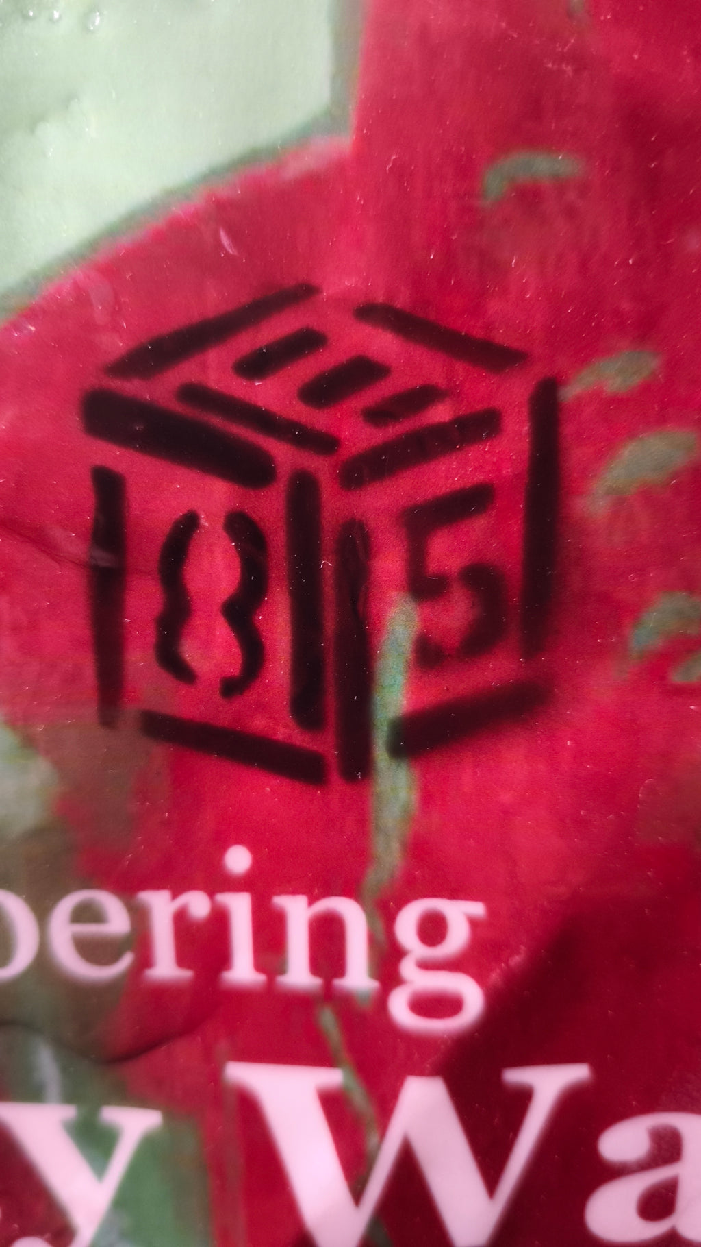 Quadro ANDY for TIME