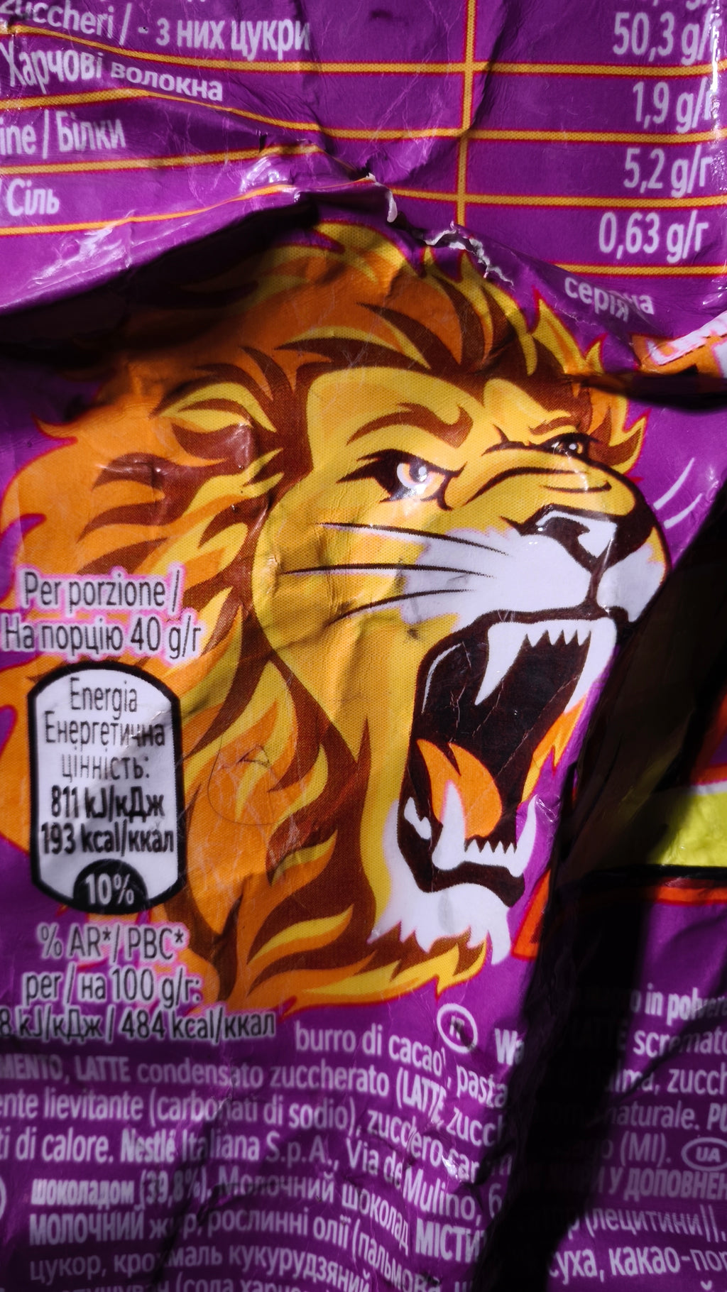 Quadro LION brownie